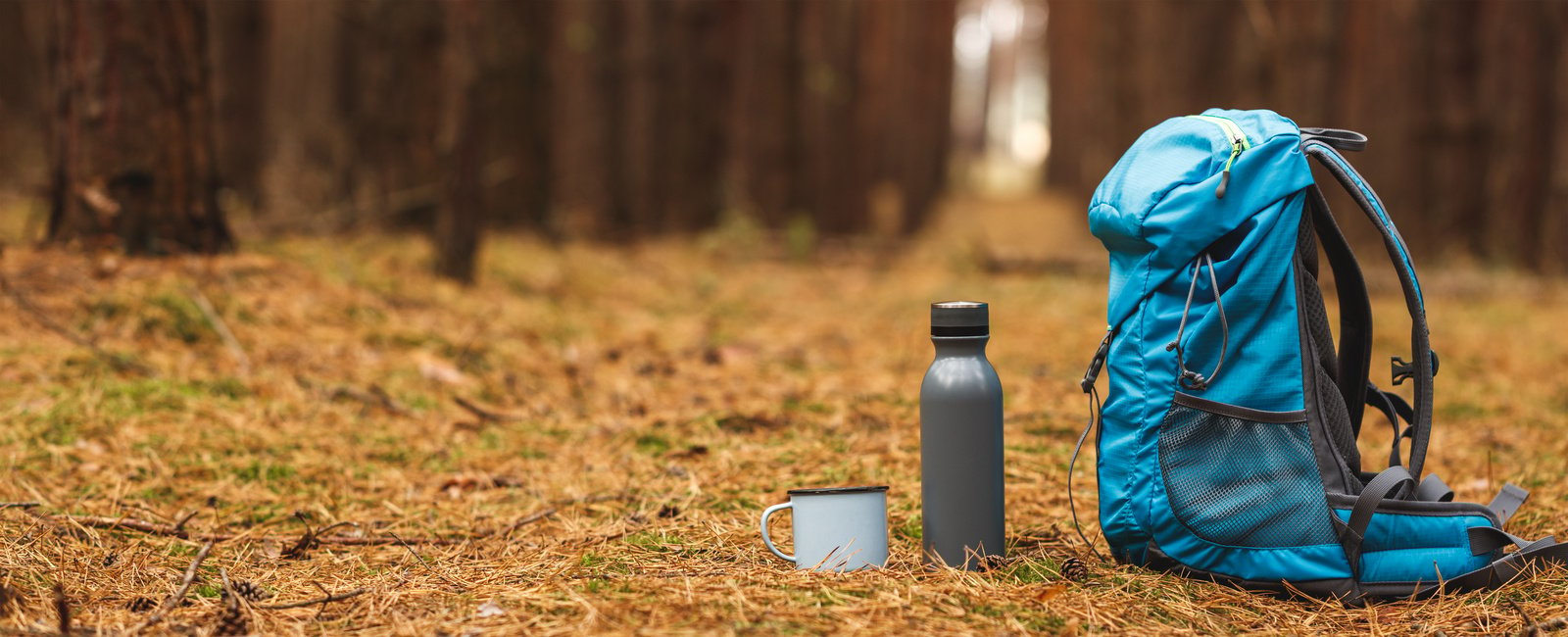 Hiking equipment and camping gear in forest